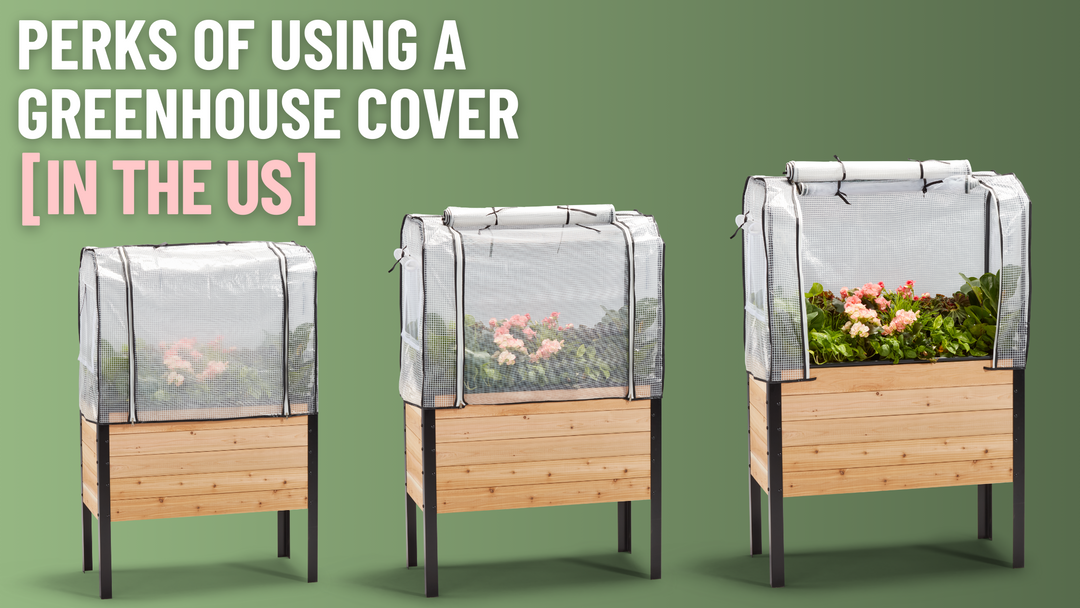 The Perks Of Using A Greenhouse Cover In The US