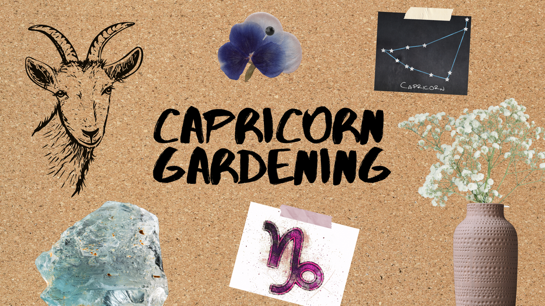 Capricorn Garden Ideas