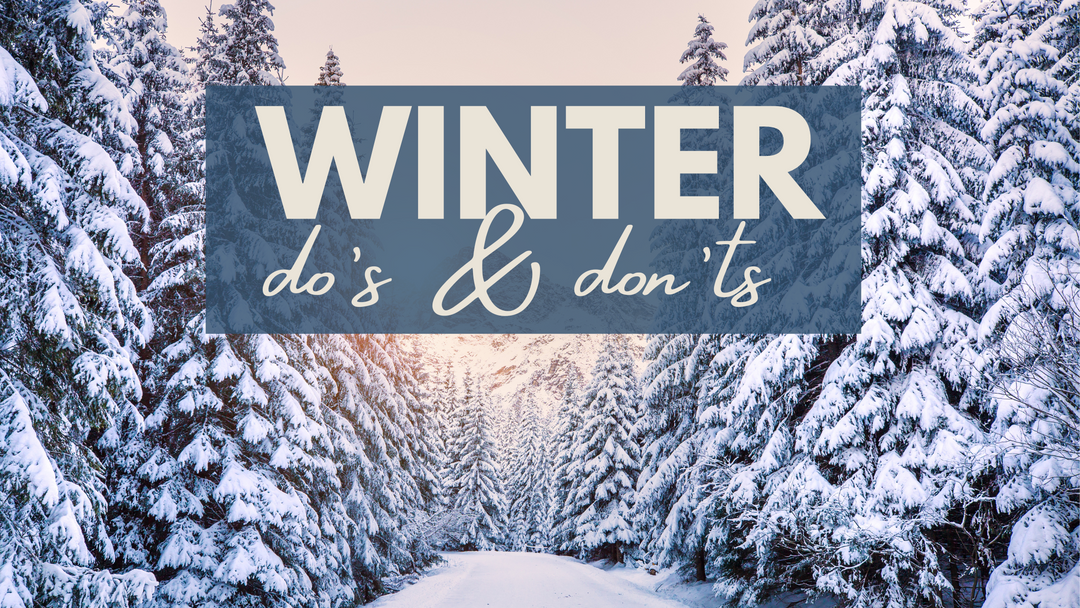 6 Do's & Don'ts of Winter Gardening