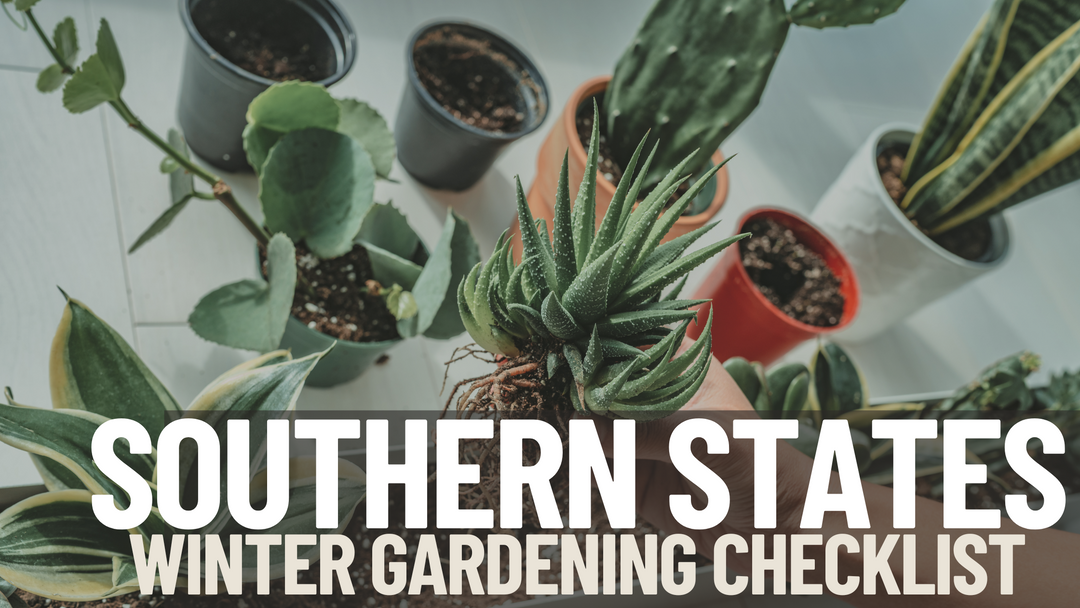 Southern States Winter Gardening Checklist