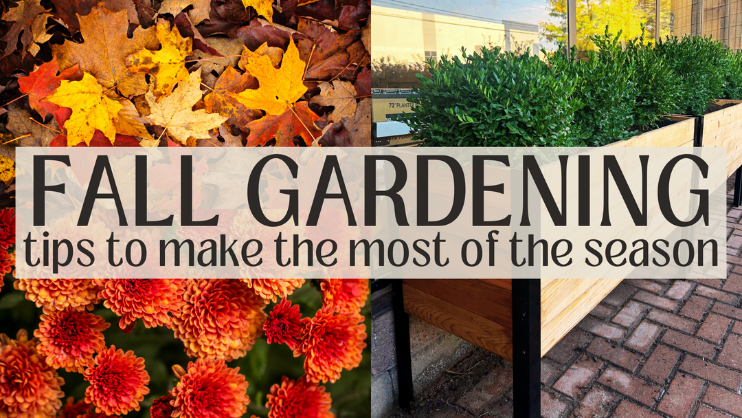 Fall Gardening Tips