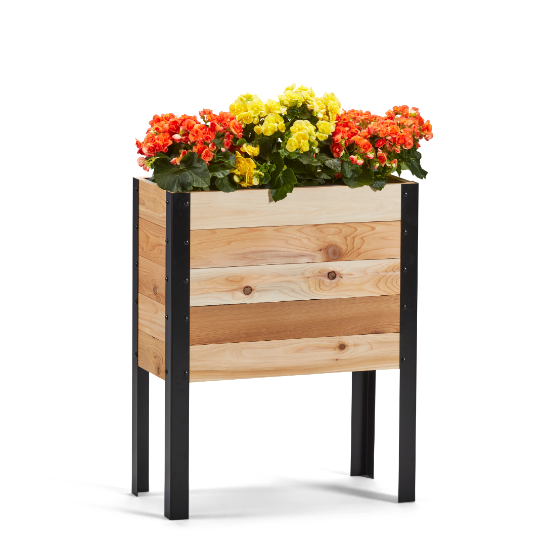 Wooden planter box with colorful flowers on a white background