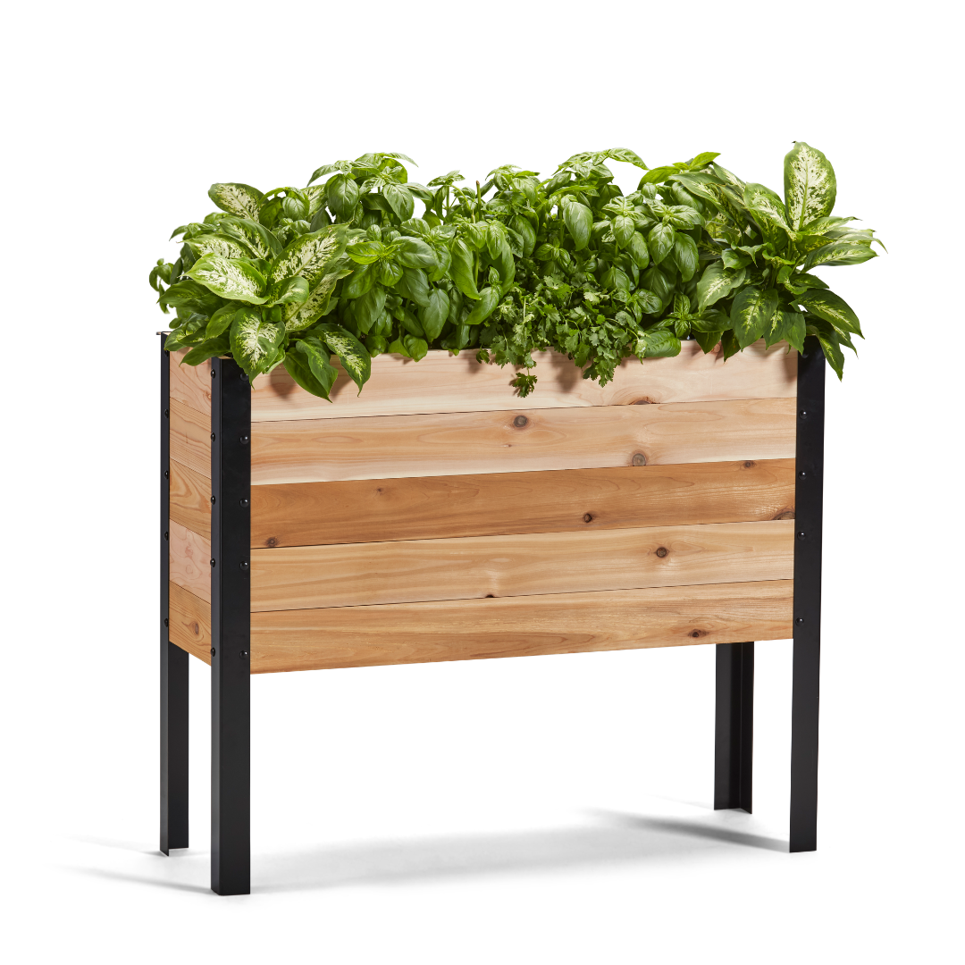 Wooden planter box with green plants on a white background