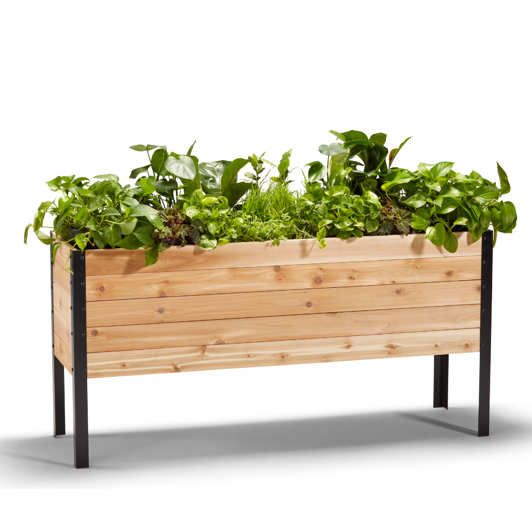 18 x 60 Raised Garden Bed - 30 TALL – rectangular cedar planter box for outdoor and garden use